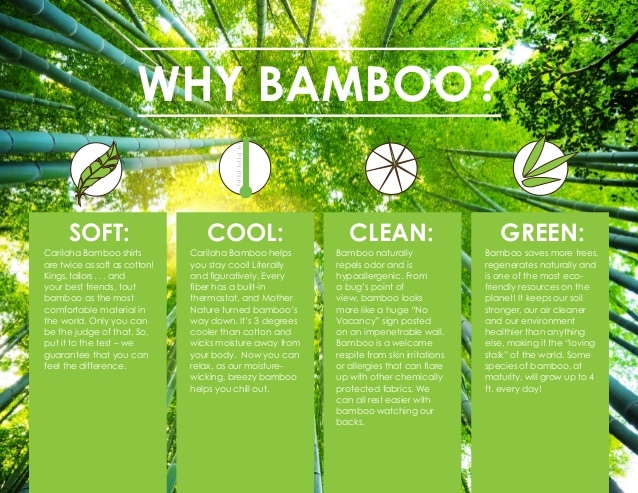 Are Bamboo Clothes Eco Friendly? Honest Sustainability Review - Cariki